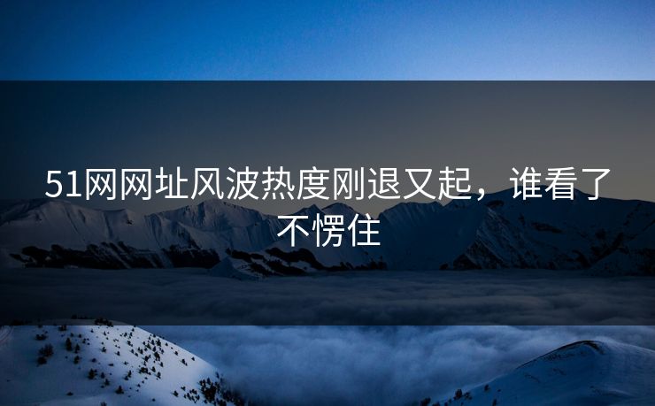 51网网址风波热度刚退又起，谁看了不愣住