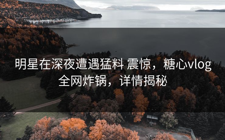明星在深夜遭遇猛料 震惊，糖心vlog全网炸锅，详情揭秘