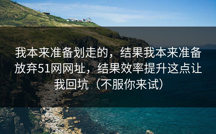 我本来准备划走的，结果我本来准备放弃51网网址，结果效率提升这点让我回坑（不服你来试）